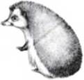 image20