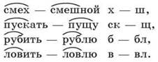 image8