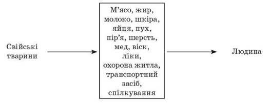 image50